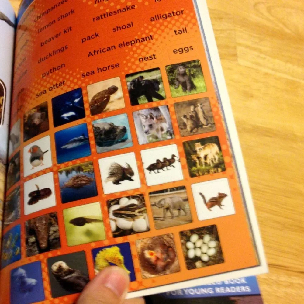 Discovery Kids Educational Booklets, Dinos, sharks, animals, adventures